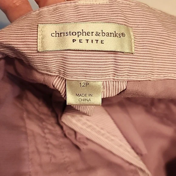 CHRISTOPHER & BANKS Lavender and White Pinstripe Ankle Pants Size 12 Petite - Picture 6 of 12